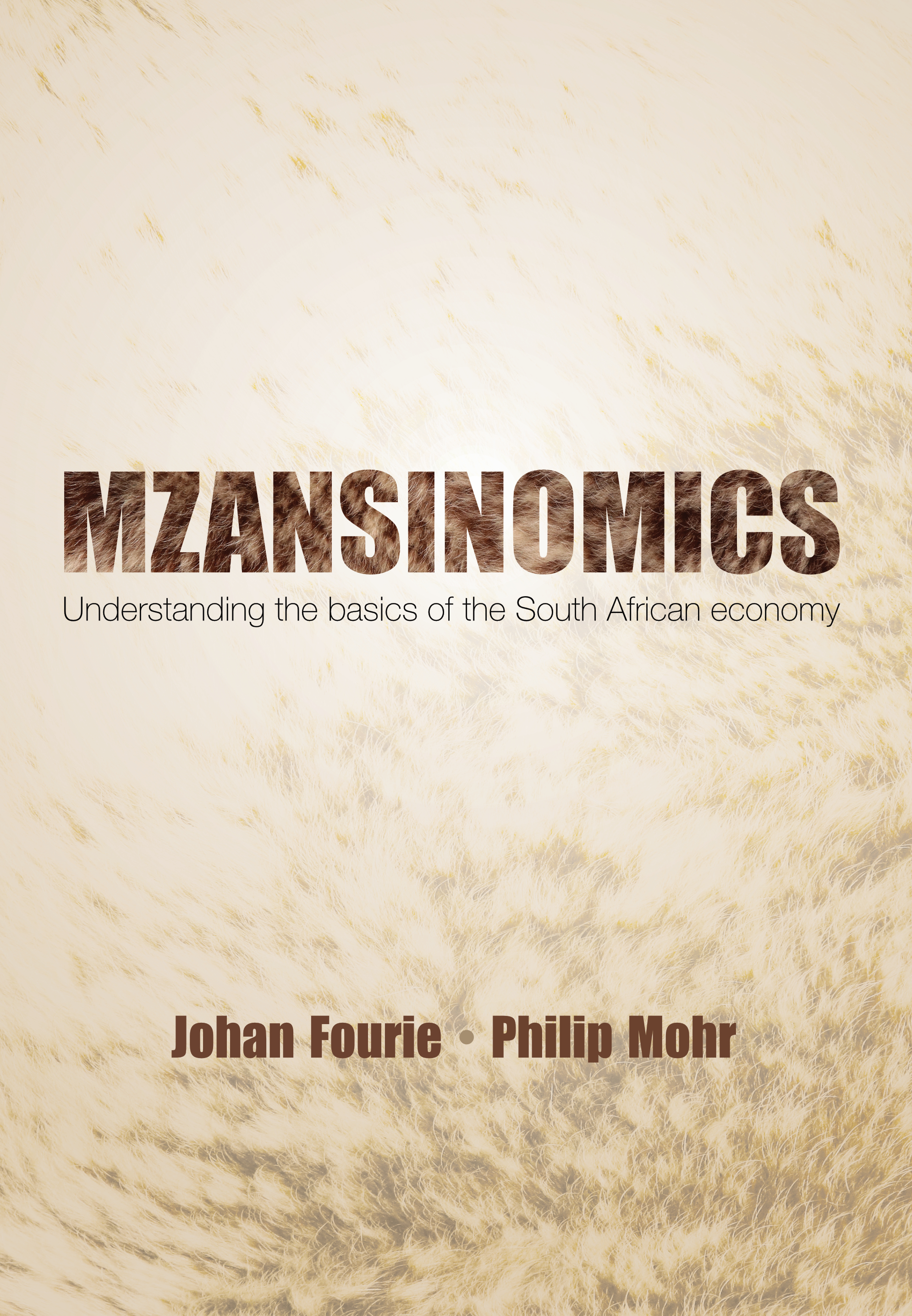 Mzansinomics cover